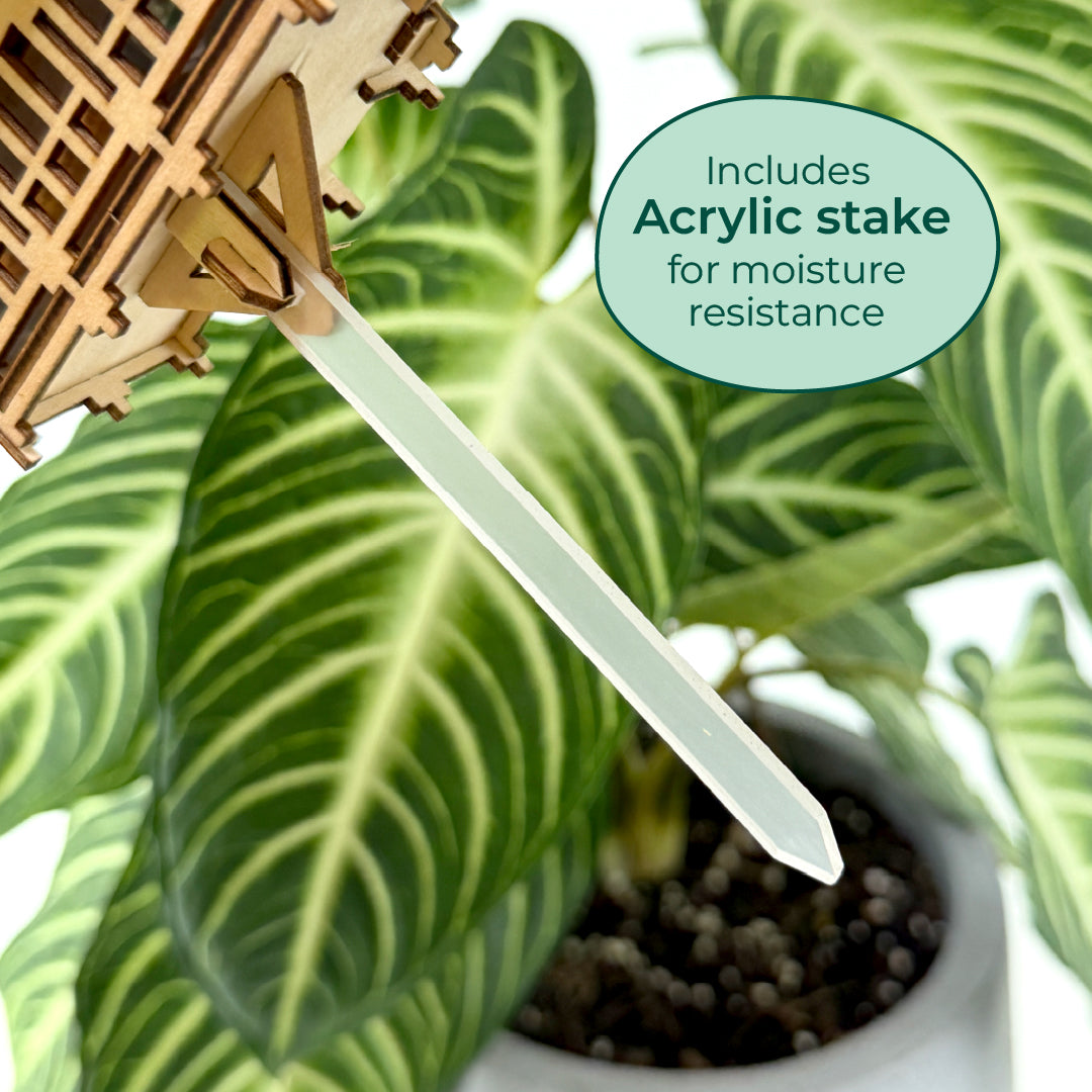Tiny Treehouses 3D Puzzle Wooden Tiny Treehouse 3D Puzzle plant support stake with acrylic stake for moisture resistance, placed on a potted plant.